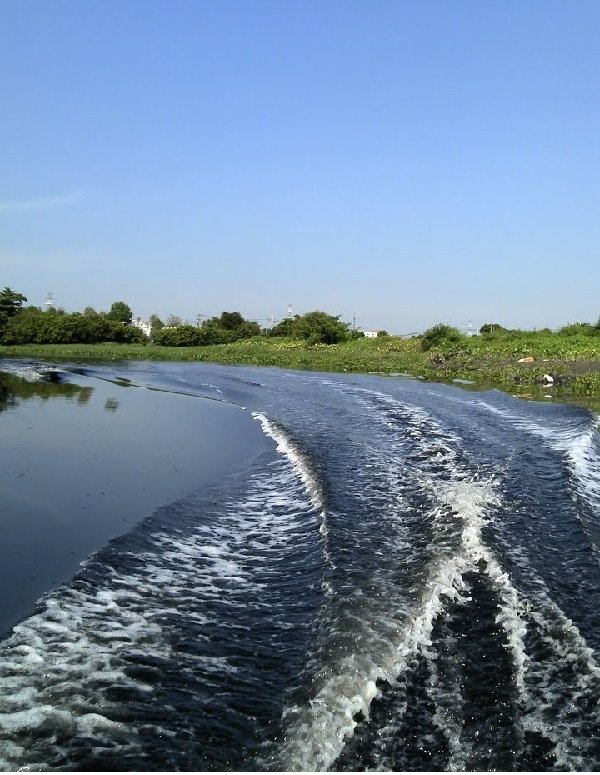 Sông Vàm Thuật